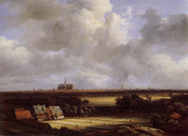 Jacob van Ruisdael View of Haarlem with Bleaching Grounds France oil painting art
